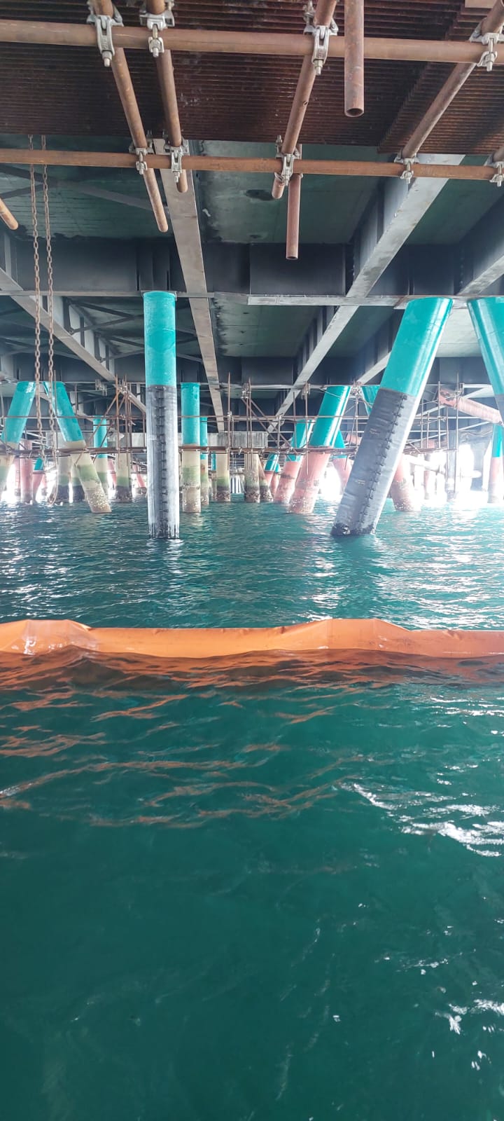 WhatsApp Image 2026-02-23 at 18.06