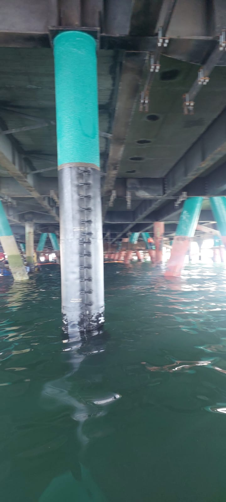 WhatsApp Image 2026-02-23 at 18.06