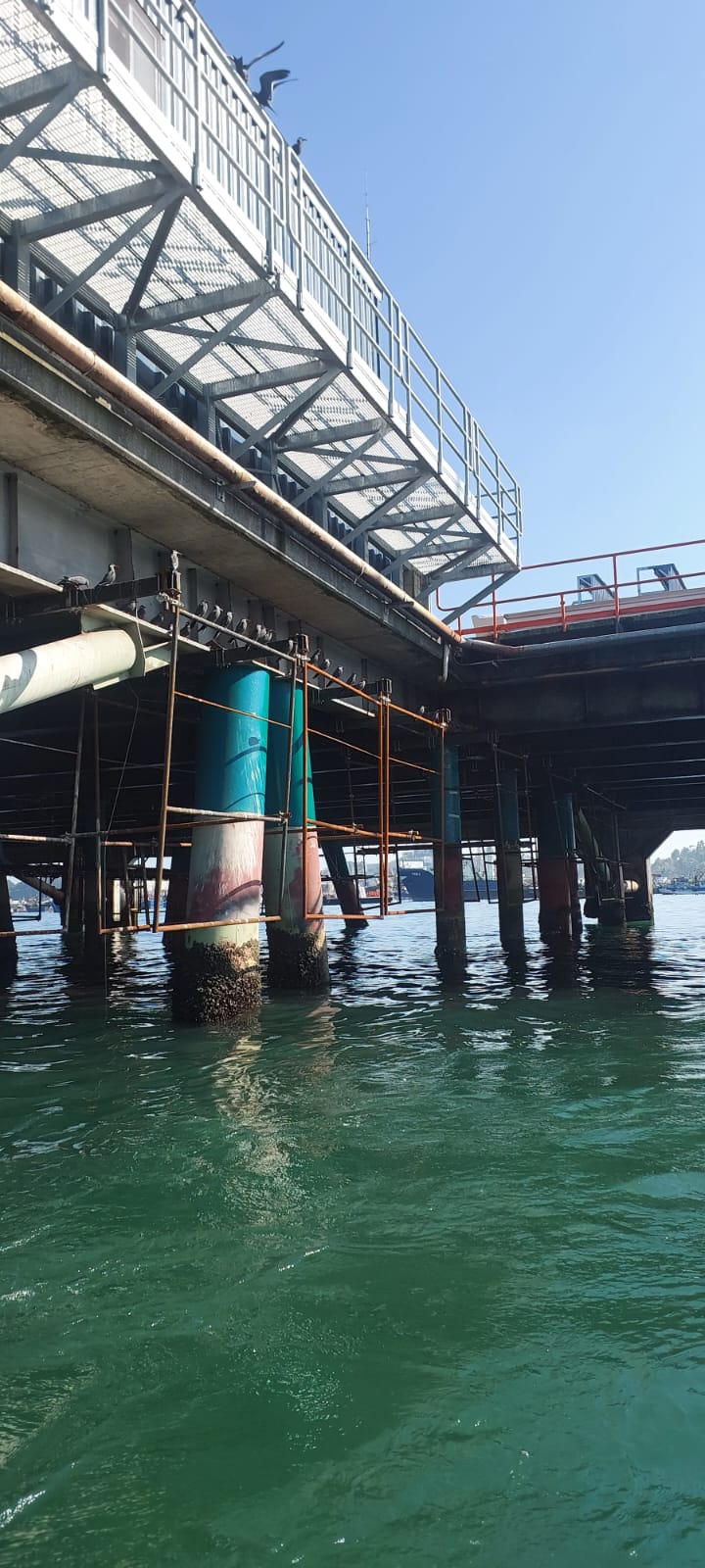 WhatsApp Image 2026-02-23 at 18.06