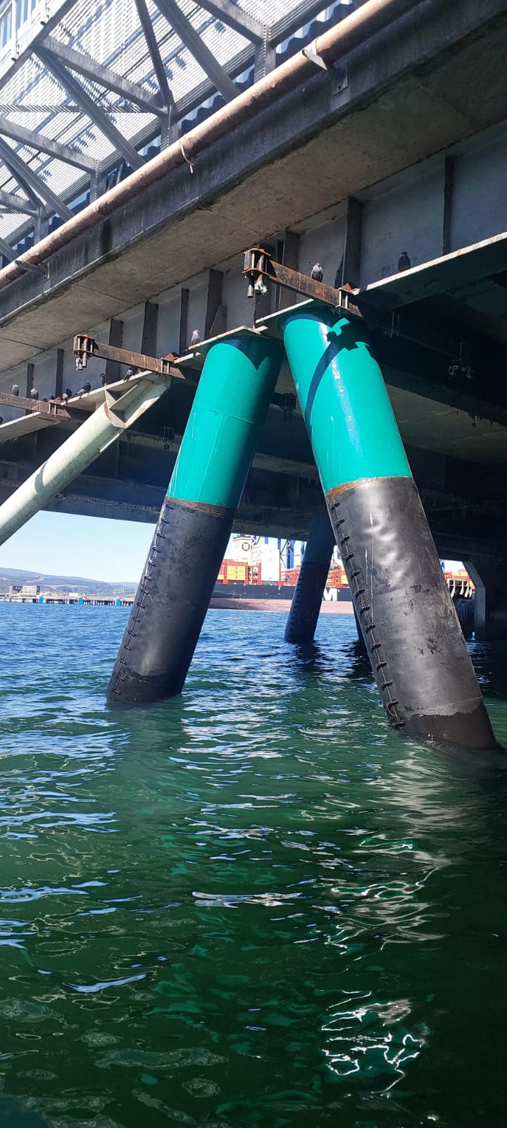 WhatsApp Image 2026-02-23 at 18.06