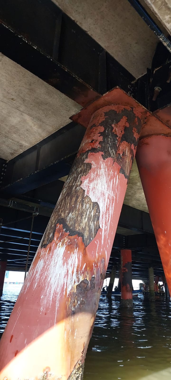 WhatsApp Image 2026-02-23 at 18.07