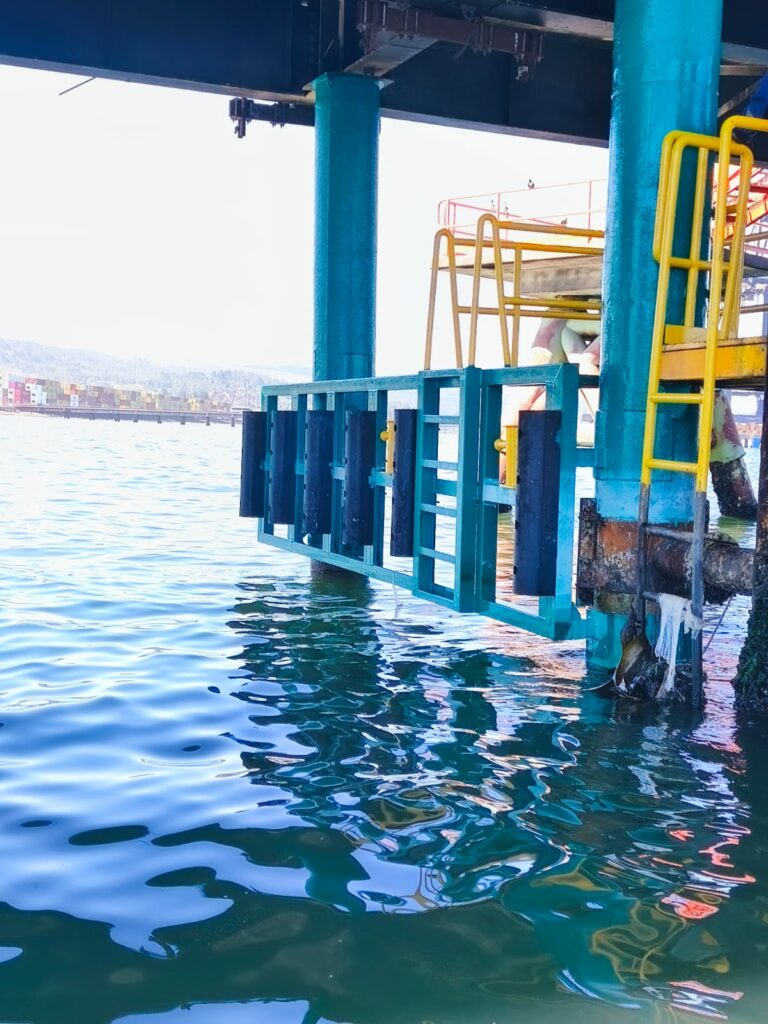 WhatsApp Image 2026-02-24 at 11.20