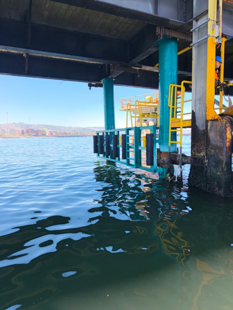 WhatsApp Image 2026-02-24 at 11.20